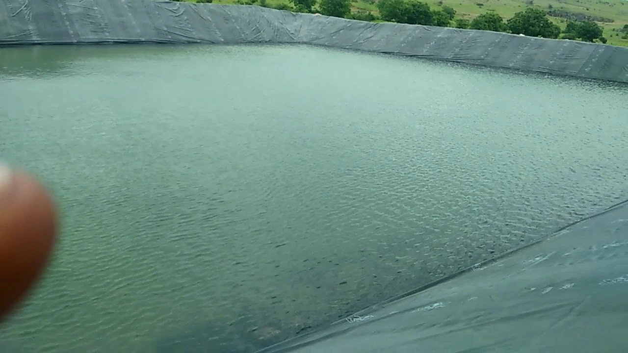 A large, man-made water pond lined with black plastic sheeting